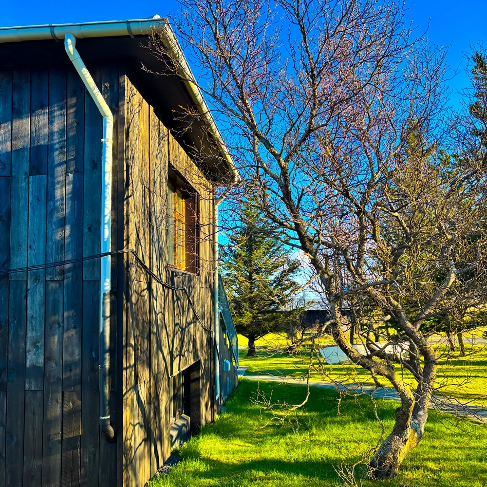 Golden Circle tours from hotel - Activity Special